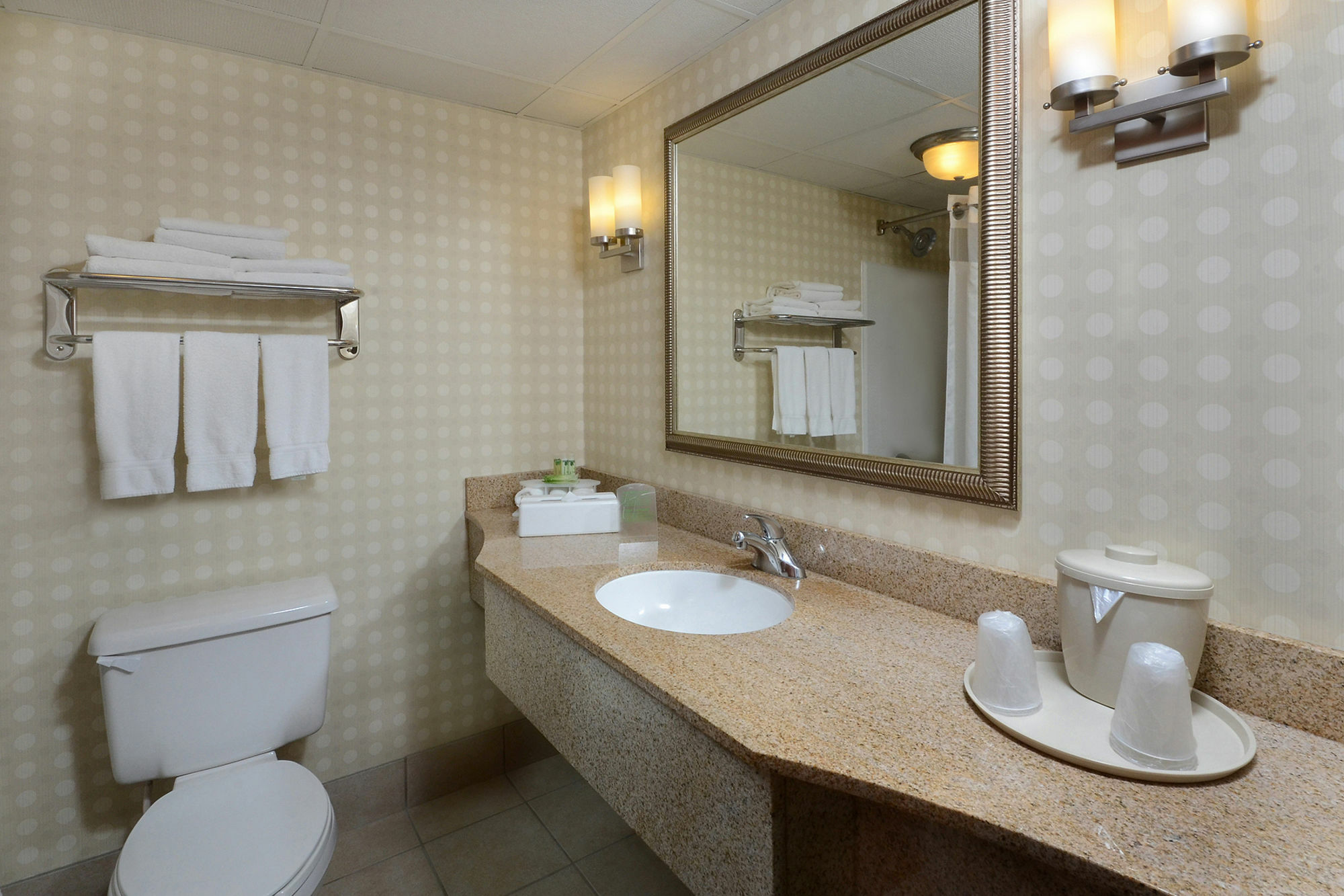 Holiday Inn Express Hotel & Suites Greensboro - Airport Area By Ihg Buitenkant foto